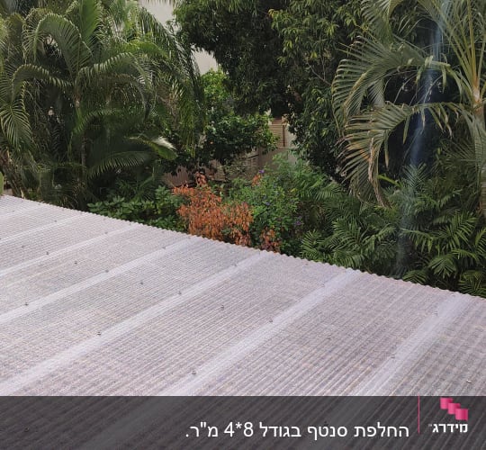גג פלסטיק גלי עם עצים ברקע